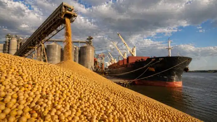Carga de soja en puerto argentino hacia buque exportador con silos y grúas, reflejando el impacto comercial de las medidas europeas