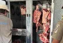 Golpe a la faena clandestina: decomisan 1.700 kilos de carne y clausuran 12 establecimientos en Córdoba Decomiso de carne bovina en operativo contra la faena clandestina en Córdoba, con controles sanitarios y presencia de patrulla rural