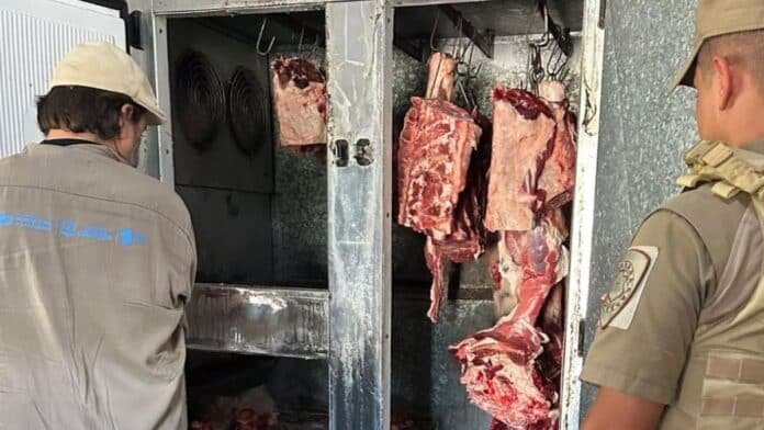 Decomiso de carne bovina en operativo contra la faena clandestina en Córdoba, con controles sanitarios y presencia de patrulla rural