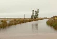 Más de 170 mm en horas colapsan campos y dejan caminos rurales intransitables Camino rural completamente inundado en Olavarría tras lluvias intensas, con agua cubriendo la traza y evidenciando el impacto del exceso hídrico en la zona productiva.