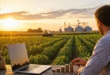 Inversiones en el agro: analizan el giro desde las finanzas hacia la economía real en un evento clave Productor analizando inversión en campo agrícola al atardecer con cultivo, maquinaria y concepto de economía real