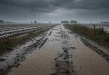 Lluvias de 40 a 80 mm golpean Buenos Aires y elevan el riesgo de anegamientos durante la noche Camino rural inundado por lluvias intensas en el sudeste de Buenos Aires con acumulación de agua y suelo anegado en zona agrícola