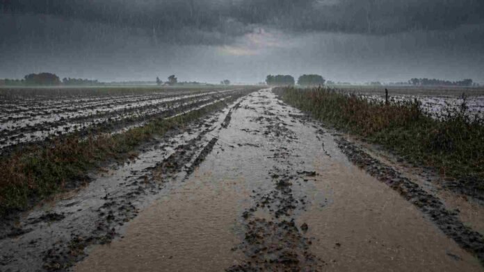 Camino rural inundado por lluvias intensas en el sudeste de Buenos Aires con acumulación de agua y suelo anegado en zona agrícola