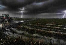 Lluvias de hasta 70 mm impactan en más de 80 localidades y generan anegamientos en Buenos Aires y Entre Ríos Campo agrícola de la Pampa húmeda con surcos horizontales bajo lluvias intensas, suelo anegado y barro, un tractor circulando por camino rural y relámpagos en el cielo, mostrando el impacto del clima en el agro.