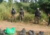 Un perro antidrogas encontró 30 kilos de cocaína en un cargamento de berenjenas y desarmó una banda narco en Salta Operativo de Gendarmería con personal armado y bolsas incautadas en zona rural argentina