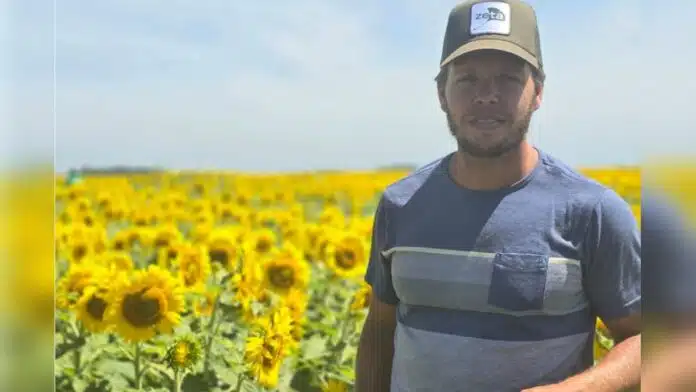 Productor rural en lote de girasol en floración en campo agrícola argentino