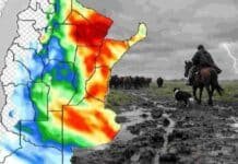 Pronóstico de lluvias hasta el 27 de abril Mapa de precipitaciones en Argentina hasta el 27 de abril con zonas de mayores lluvias y, en primer plano, campo anegado con ganado y arriero bajo cielo de tormenta, reflejando el impacto en la actividad agropecuaria.