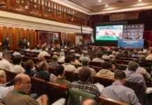 Récord en el Banco Nación: 36.000 cabezas y terneros que tocaron los $8.150 Salón del Banco Nación lleno durante remate de hacienda con más de 36.000 animales, evento ganadero con alta participación de productores y compradores.