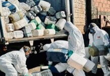 Intervienen acopio ilegal: retiran más de 2.000 bidones de fitosanitarios y desactivan un foco de riesgo tras 8 años Operativo de retiro de bidones de fitosanitarios con personal protegido cargando envases en camión en Rosario del Tala, Entre Ríos