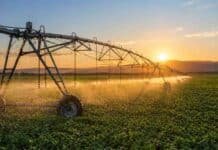 El Gobierno acelera el riego: busca pasar de 2,1 a 4,8 millones de hectáreas con beneficios impositivos Sistema de riego por pivote central regando un cultivo en un campo agrícola argentino al atardecer