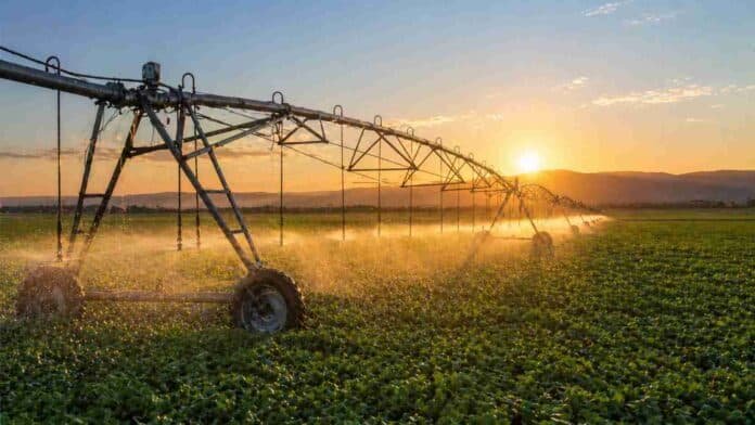 Sistema de riego por pivote central regando un cultivo en un campo agrícola argentino al atardecer