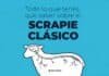 Alerta sanitaria por scrapie: confirman casos en ovinos y activan control obligatorio Infografía sobre scrapie clásico en ovinos con ilustración de una oveja mostrando el sistema nervioso y texto informativo de Senasa.