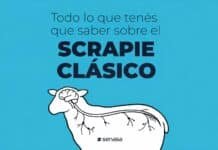 Alerta sanitaria por scrapie: confirman casos en ovinos y activan control obligatorio Infografía sobre scrapie clásico en ovinos con ilustración de una oveja mostrando el sistema nervioso y texto informativo de Senasa.
