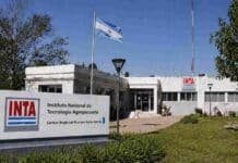 El peronismo presentó su propio proyecto para rediseñar el INTA con IA, biotecnología y datos agropecuarios Edificio del INTA con bandera argentina en sede institucional del Instituto Nacional de Tecnología Agropecuaria