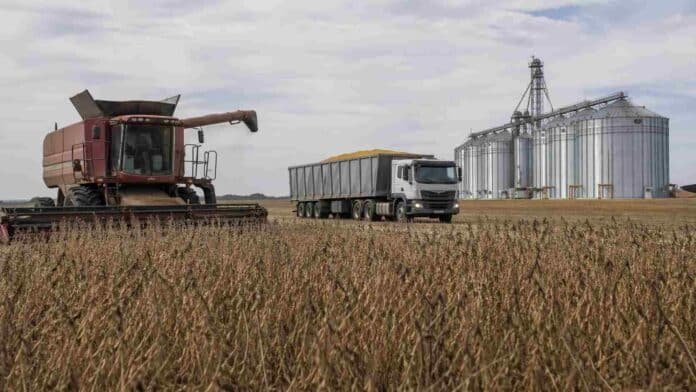 Cosechadora y camión cerealero detenidos en un campo de soja con silos al fondo representando baja actividad en el mercado de granos en Rosario
