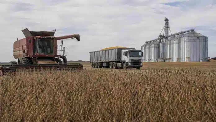 Cosechadora y camión cerealero detenidos en un campo de soja con silos al fondo representando baja actividad en el mercado de granos en Rosario