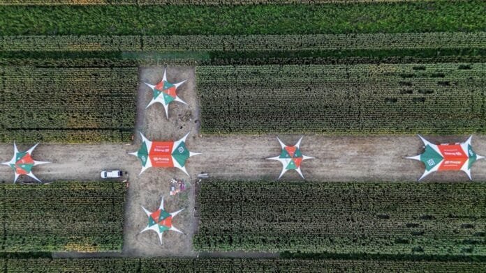 Vista aérea de lote demostrativo de maíz con estaciones técnicas en evento SupraRoad en Balcarce, evaluación de híbridos y manejo agrícola en campo.