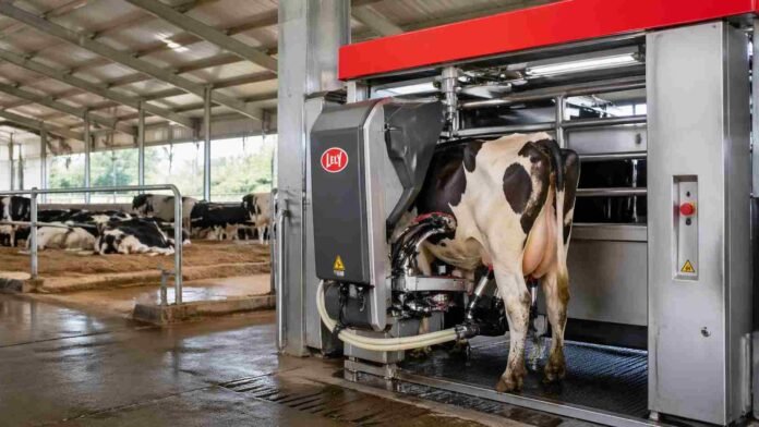 Vaca siendo ordeñada por robot automático en un tambo tecnificado con sistema moderno y monitoreo inteligente en Argentina