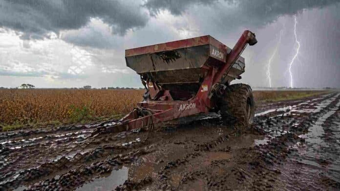 Tolva agrícola encajada en el barro durante lluvia intensa en un lote de soja en la zona núcleo con tormenta y relámpagos