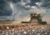 Tormentas fuertes con ráfagas y granizo impactan en 13 provincias Cosechadora trabajando en un campo agrícola bajo tormenta fuerte con lluvia intensa, granizo y relámpagos en Argentina