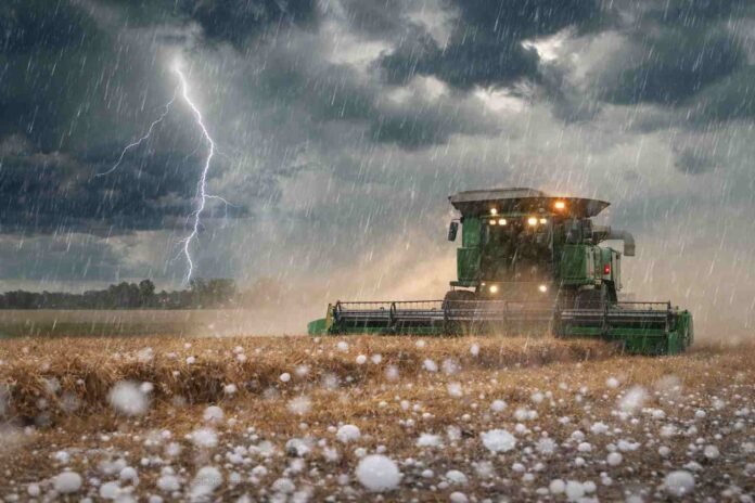 Cosechadora trabajando en un campo agrícola bajo tormenta fuerte con lluvia intensa, granizo y relámpagos en Argentina