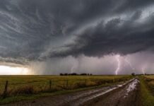 El clima golpea fuerte: lluvias intensas y viento extremo afectan al NEA y la Patagonia Tormenta intensa con relámpagos y lluvia sobre campo agrícola y camino rural inundado