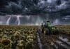 Fuerte avance de tormentas: hasta 50 mm con granizo y ráfagas afectan 12 provincias clave Tormenta severa con relámpagos y lluvia intensa sobre un campo de girasol listo para cosecha, con tractor John Deere trabajando en suelo embarrado bajo cielo completamente cubierto de nubes oscuras en la Pampa húmeda argentina