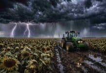 Fuerte avance de tormentas: hasta 50 mm con granizo y ráfagas afectan 12 provincias clave Tormenta severa con relámpagos y lluvia intensa sobre un campo de girasol listo para cosecha, con tractor John Deere trabajando en suelo embarrado bajo cielo completamente cubierto de nubes oscuras en la Pampa húmeda argentina