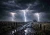 Hasta 100 mm y ráfagas de 70 km/h: el momento más crítico llega esta noche y madrugada Tormenta severa durante la madrugada en un campo argentino, con rayos intensos, lluvia fuerte y camino rural inundado bajo cielo oscuro cargado de nubes