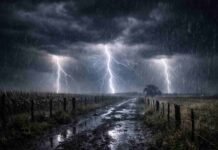 Hasta 100 mm y ráfagas de 70 km/h: el momento más crítico llega esta noche y madrugada Tormenta severa durante la madrugada en un campo argentino, con rayos intensos, lluvia fuerte y camino rural inundado bajo cielo oscuro cargado de nubes