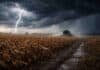 El clima complica al campo: inestabilidad, humedad y cambios de viento impactan en gran parte del país entre el 15 y el 17 de abril Tormenta con relámpago sobre campo de soja seca en estado R7, con cultivo inclinado por el viento y suelo embarrado, mientras una cosechadora trabaja con dificultad en la Pampa húmeda argentina.
