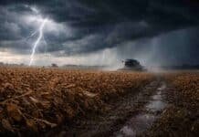 El clima complica al campo: inestabilidad, humedad y cambios de viento impactan en gran parte del país entre el 15 y el 17 de abril Tormenta con relámpago sobre campo de soja seca en estado R7, con cultivo inclinado por el viento y suelo embarrado, mientras una cosechadora trabaja con dificultad en la Pampa húmeda argentina.