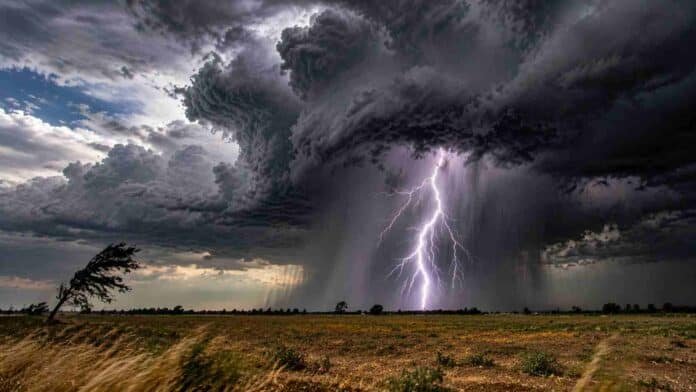 Tormenta aislada con relámpago potente y lluvia intensa localizada sobre campo agrícola en Cuyo, con ráfagas de viento y cielo cubierto de nubes oscuras cumulonimbus