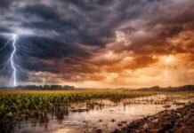 Pronóstico meteorológico: lluvias y tormentas se expanden en más de 10 provincias y complican la cosecha Campo agrícola inundado bajo tormentas intensas con relámpagos y lluvias abundantes, reflejando el impacto del clima inestable en zonas productivas de Argentina.