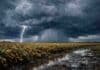 Tormentas y lluvias en 14 provincias frenan la cosecha desde mañana Tormenta fuerte con relámpagos y lluvias intensas sobre un campo de soja en la Pampa húmeda que complica la cosecha