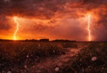 Tormentas fuertes a severas con hasta 100 mm y granizo: tres alertas simultáneas complican al agro en más de 10 provincias