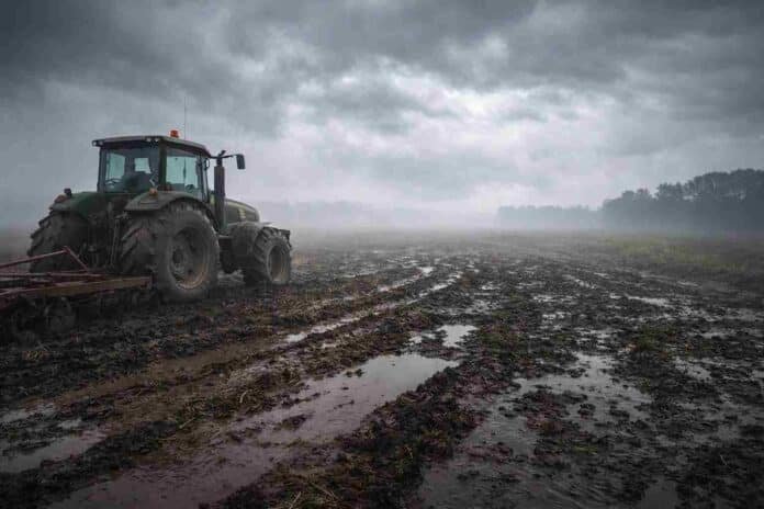 tractor-barro-neblina-viento-campo-inestable-ruralnet Tractor agrícola trabajando en un campo embarrado con charcos y neblina bajo cielo nublado, reflejando condiciones de humedad, viento e inestabilidad en la Pampa húmeda argentina