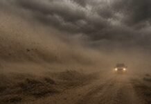 🌬️ Alerta por ráfagas de 85 km/h: el viento se dispara y complica al sur bonaerense y la Patagonia Vehículo avanzando con baja visibilidad por ráfagas intensas de viento y polvo sobre una ruta rural en la Patagonia, reflejando condiciones extremas que afectan la circulación y el trabajo en el campo.