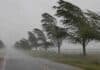 Lluvias de hasta 50 mm y ráfagas de 100 km/h: alerta múltiple impacta en Buenos Aires y Misiones Árboles inclinados por fuertes ráfagas de viento en camino rural de la provincia de Buenos Aires