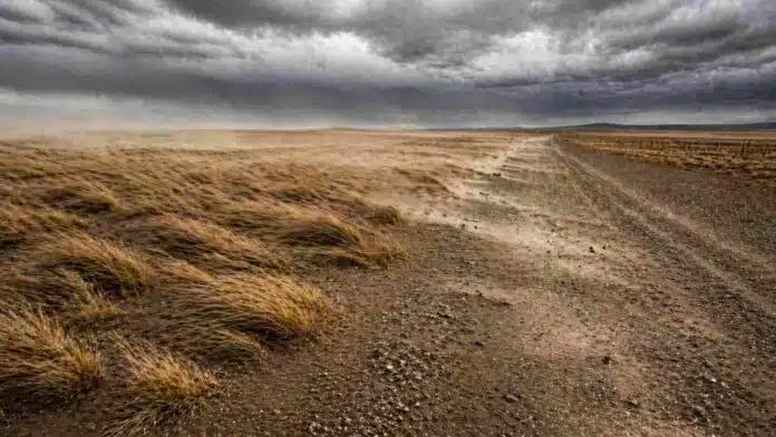 Estepa patagónica con pastos inclinados y polvo levantado por fuertes ráfagas de viento en un camino rural abierto