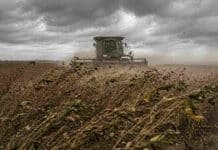 Ráfagas y aire frío avanzan sobre la zona núcleo: así impacta el clima entre el 25 y el 27 de abril Cultivo de soja inclinado por fuertes ráfagas de viento con maquinaria trabajando en un campo de la zona núcleo argentina
