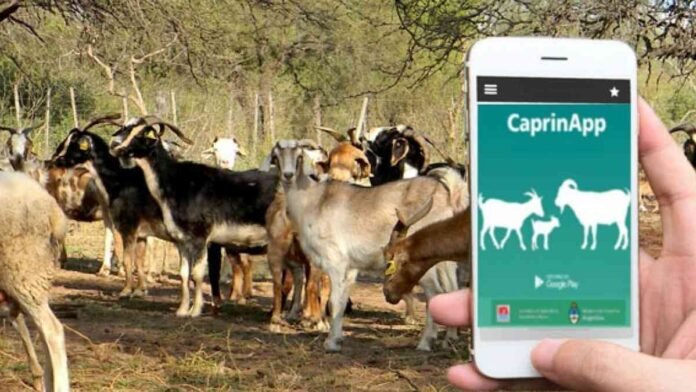 CaprinApp – gestión caprina desde el celular