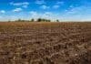 Clima en abril 2026: lluvias mejoran reservas hídricas pero complican la cosecha de soja y maíz Lote en barbecho húmedo en campo argentino con suelo saturado por lluvias recientes y rastrojos visibles bajo cielo despejado