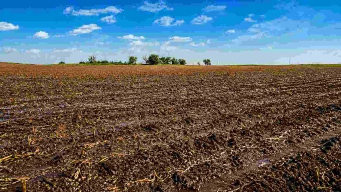Lote en barbecho húmedo en campo argentino con suelo saturado por lluvias recientes y rastrojos visibles bajo cielo despejado