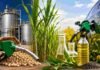 El Gobierno impulsa una nueva ley de biocombustibles: mercado libre, cortes más altos y vehículos flex fuel Producción de biocombustibles en Argentina con soja, caña de azúcar, planta industrial y carga de combustible renovable en un vehículo.