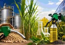 El Gobierno impulsa una nueva ley de biocombustibles: mercado libre, cortes más altos y vehículos flex fuel Producción de biocombustibles en Argentina con soja, caña de azúcar, planta industrial y carga de combustible renovable en un vehículo.