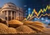 Soja y maíz subieron en Rosario tras el fin de semana largo: Chicago y el dólar traccionaron las ofertas al alza Edificio de la Bolsa de Comercio de Rosario con granos de soja, maíz y trigo en primer plano, representando el mercado y los precios agrícolas en Argentina.