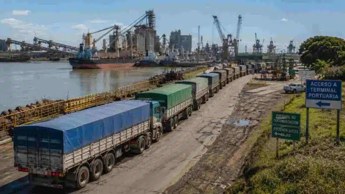 Fila de camiones cerealeros avanzando hacia una terminal portuaria argentina junto al río, con barcos, grúas y plantas industriales visibles en el puerto.