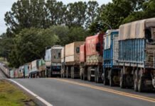 La Sociedad Rural de Rosario rechaza el fideicomiso vial de Santa Fe: “Ya pagamos U$S 103 por tonelada de soja en retenciones” Larga fila de camiones cerealeros circulando por una ruta argentina rodeada de árboles y paisaje rural.