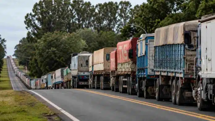Larga fila de camiones cerealeros circulando por una ruta argentina rodeada de árboles y paisaje rural.